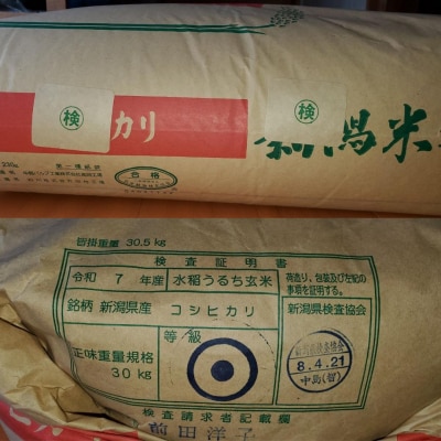 【令和7年産】 阿賀野市産 コシヒカリ 玄米30㎏ 