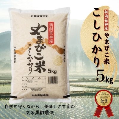 【令和7年産】玄米黒酢農法コシヒカリ「やまびこ米」5kg(白米)
