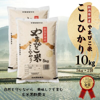 【令和7年産】玄米黒酢農法コシヒカリ「やまびこ米」10kg(白米5kg×2袋)