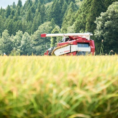 【令和7年産】玄米黒酢農法コシヒカリ「やまびこ米」10kg(白米5kg×2袋)