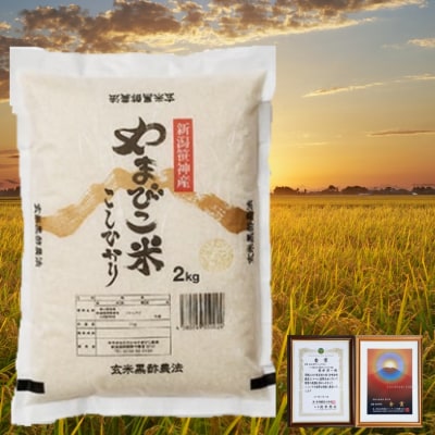 【令和7年産】【2か月定期便】コシヒカリ「やまびこ米」2kg×2回 