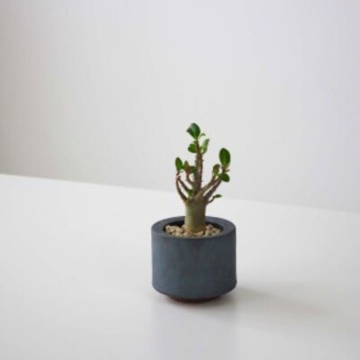 【安田瓦】 MYK FLOWER POT-rin S/maru