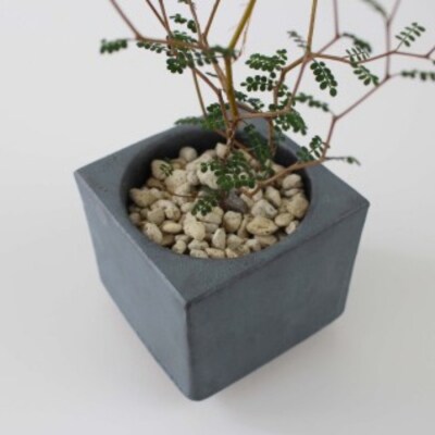 【安田瓦】 MYK FLOWER POT-rin S/kaku