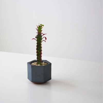 【安田瓦】 MYK FLOWER POT-rin S/takaku 