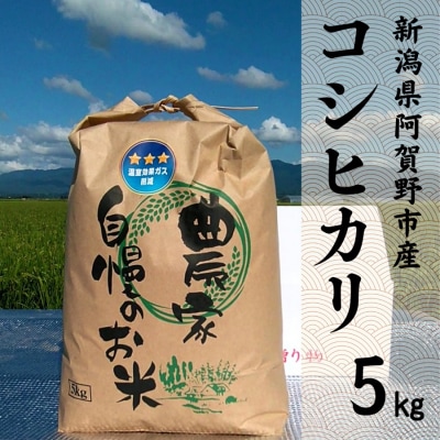【令和8年産新米先行受付】阿賀野市産 コシヒカリ 5kg 