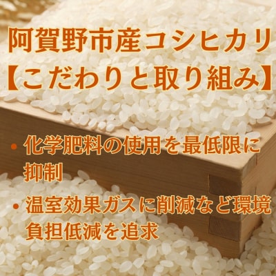 【令和8年産新米先行受付】阿賀野市産 コシヒカリ 5kg 