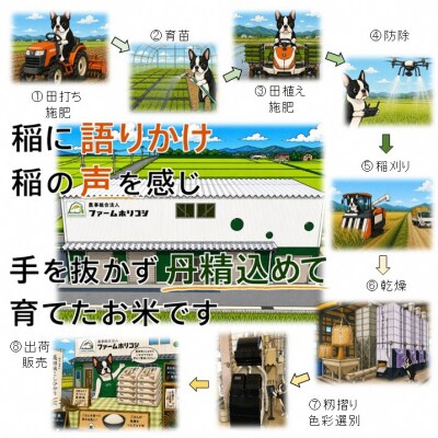 【令和8年産新米】【5ヶ月定期便】阿賀野市産 コシヒカリ 「ファームホリコシ美田米」 5kg×5回