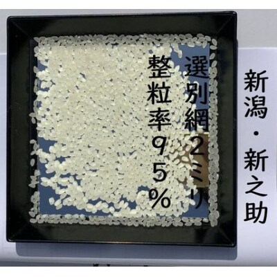 【令和8年産新米】【真空パック】 阿賀野市産「新之助」無洗米 30kg(5kg×6袋)中島農場 