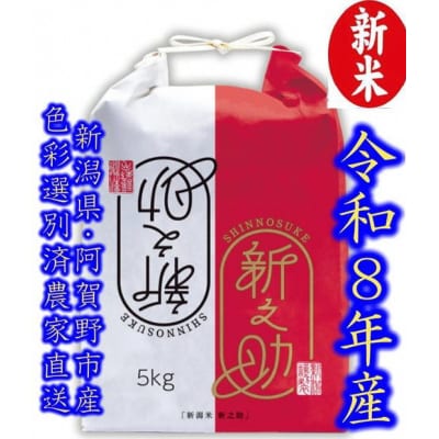 【令和8年産新米】 新潟県産「新之助」 白米 5kg 