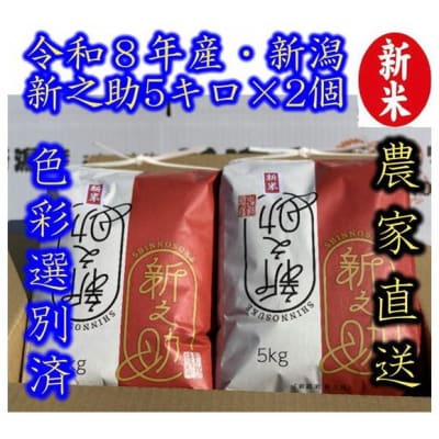 【令和8年産新米】 新潟県産「新之助」 白米 10kg(5kg×2袋)