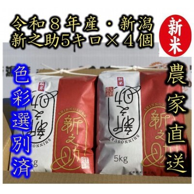 【令和8年産新米】 新潟県産「新之助」 白米 20kg(5kg×4袋)