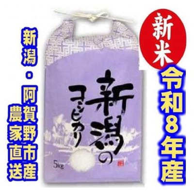 【令和8年産新米】 新潟県産 「従来こしひかり」 白米 5kg 