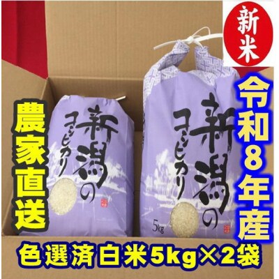 【令和8年産新米】 新潟県産 「従来こしひかり」 白米 10kg(5kg×2袋) 