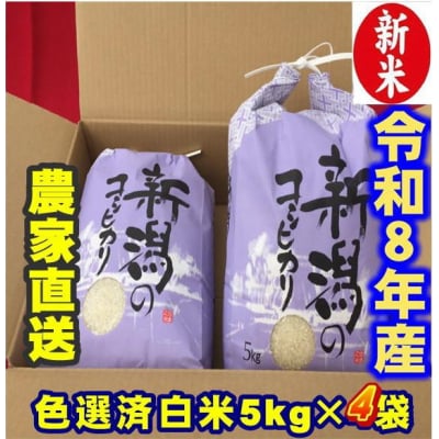 【令和8年産新米】 新潟県産 「従来こしひかり」 白米 20kg(5kg×4袋) 