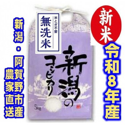 【令和8年産新米】 新潟県産 「従来こしひかり」 無洗米 5kg 