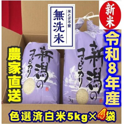 【令和8年産新米】 新潟県産 「従来こしひかり」 無洗米 20kg(5kg×4袋) 