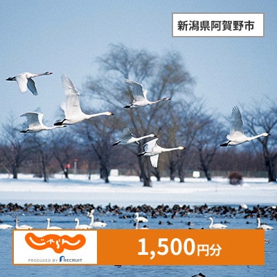【じゃらんふるさと納税クーポン】 新潟県阿賀野市でつかえる1,500円 クーポン