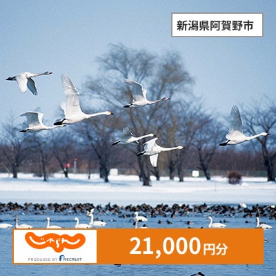 【じゃらんふるさと納税クーポン】 新潟県阿賀野市でつかえる21,000円 クーポン