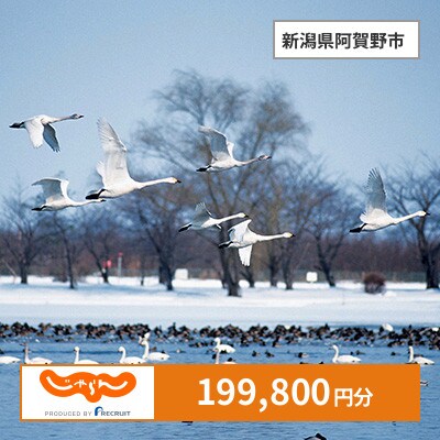 【じゃらんふるさと納税クーポン】 新潟県阿賀野市でつかえる199,800円 クーポン