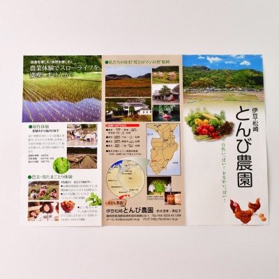 もちもち健康古代米セット