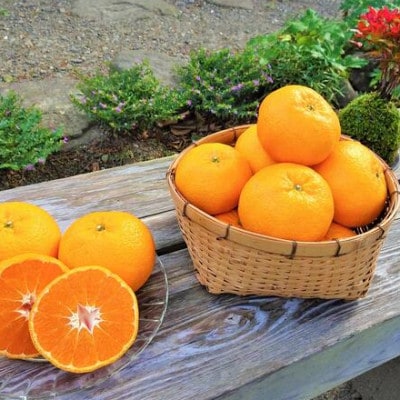 婆娑羅農産のポンカン(5kg)