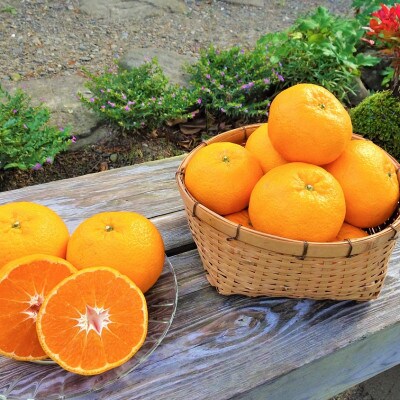 婆娑羅農産の西南のひかり(5kg)
