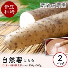 婆娑羅農産の自然薯カット 2パック