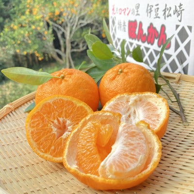 季節おすすめ　栄久ぽんかん　5kg(個数おまかせ)
