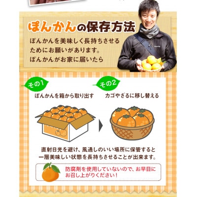 季節おすすめ　栄久ぽんかん　5kg(個数おまかせ)