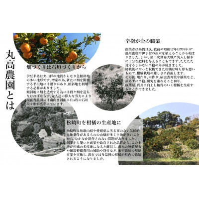 丸高農園の栄久ぽんかんストレートジュース(1L×1本)