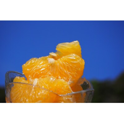 丸高農園の甘夏みかんストレートジュース(1L×1本)