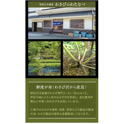 伊豆のわさび加工品セット 5種