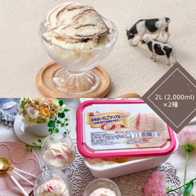 北海道チョコマーブル・北海道いちごマーブルアイスセット(2L×2個)
