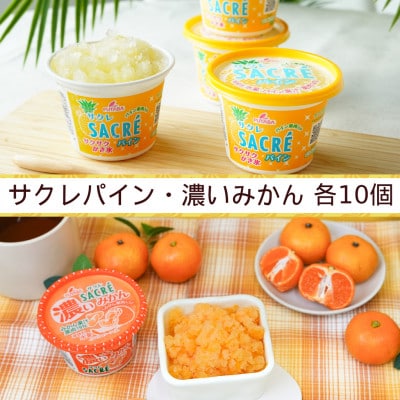 ◇期間限定◇サクレパイン・サクレ濃いみかん　2種食べ比べセット　各10個