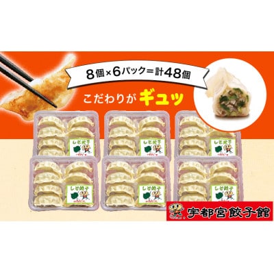 宇都宮餃子館のしそ餃子 8個入り×6パック(計48個)