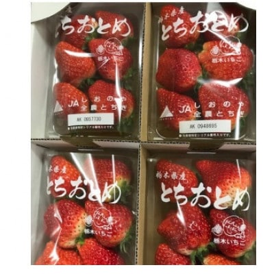 栃木県さくら市とちおとめ　4パック