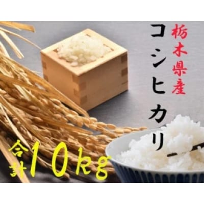 【令和6年産】栃木県さくら市産コシヒカリ精米10kg(5kg×2袋)