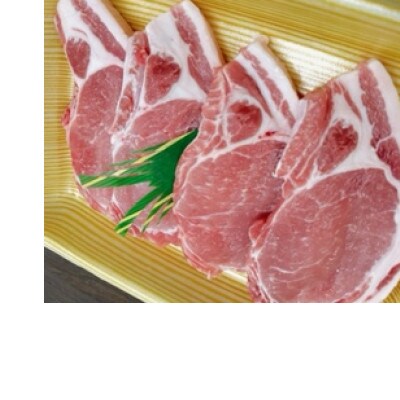 栃木県産枝肉熟成ヤシオポークロース120g×4