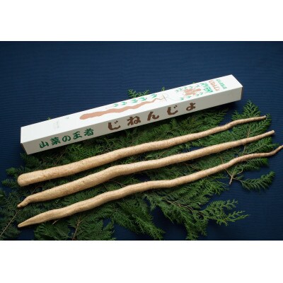 さくらブランド認証品　えみの自然薯2～3本(2.3kg以上)