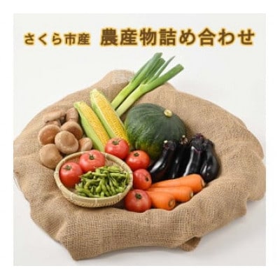 さくら市産の農産物詰め合わせ