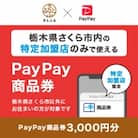 栃木県さくら市　PayPay商品券(3,000円分)※地域内の一部の加盟店のみで利用可