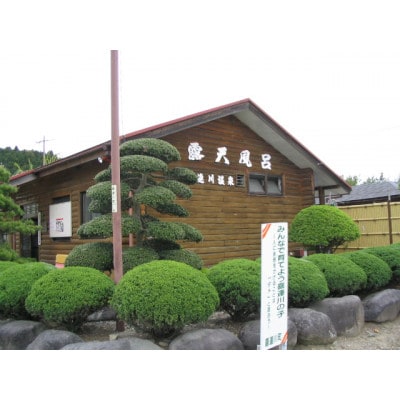 日本三大美肌の湯　市営露天風呂回数券(11回分)