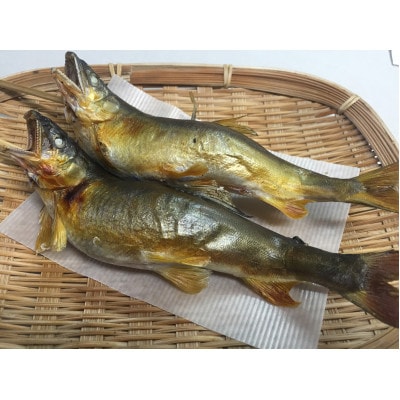 地下水育ち 炭火焼き鮎 15尾