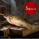 【鮎の特製炭火焼 5尾セット】