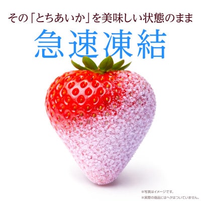 【冷凍いちご】栃木県産 とちあいか 1kg