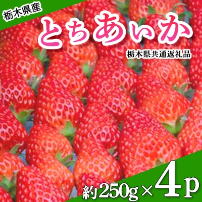 栃木県産とちあいか(約250g×4パック)【2026年2月以降発送開始】栃木県共通返礼品・栃木県産