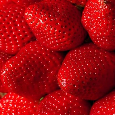 栃木県産とちあいか(約250g×4パック)【2026年2月以降発送開始】栃木県共通返礼品・栃木県産
