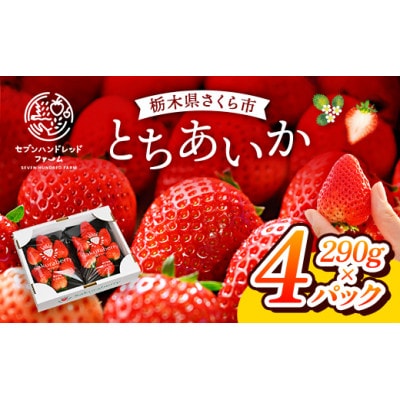 〈数量限定〉【先行予約】さくら市産イチゴ(とちあいか)290g×4パック