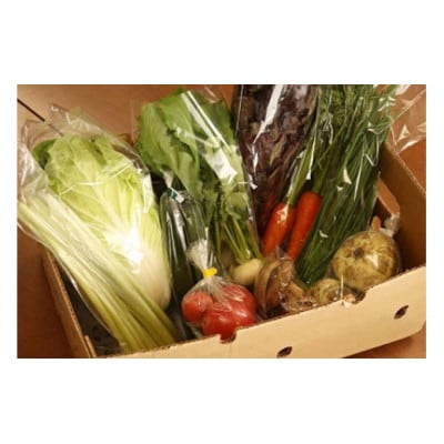 【産地直送】採りたて野菜と昔ながらの手づくり加工品セット≪旬の野菜 詰め合わせ 栃木県産≫