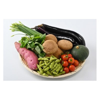 【産地直送】採りたて野菜セット≪旬の野菜 新鮮 詰め合わせ 栃木県産 国産≫